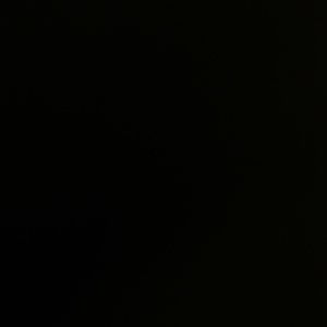 Meet your Posher, Mia